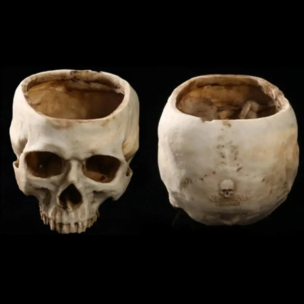 šHalloween Pre-saleš„Human Skull Bowl