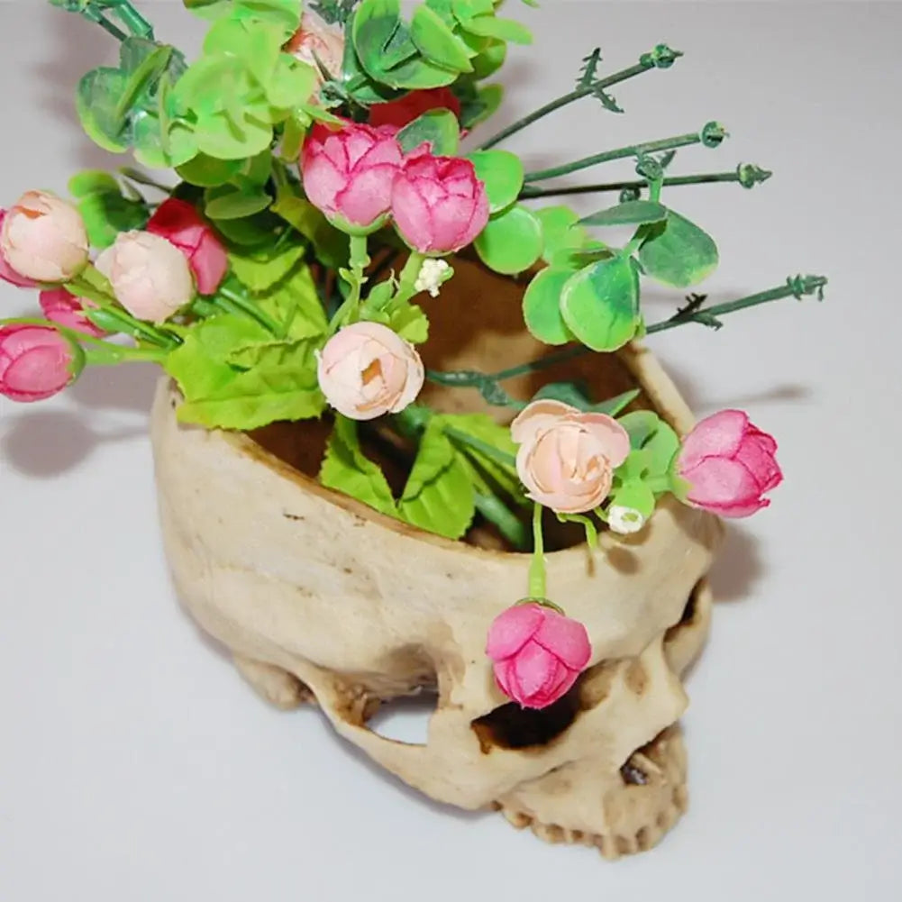 šHalloween Pre-saleš„Human Skull Bowl