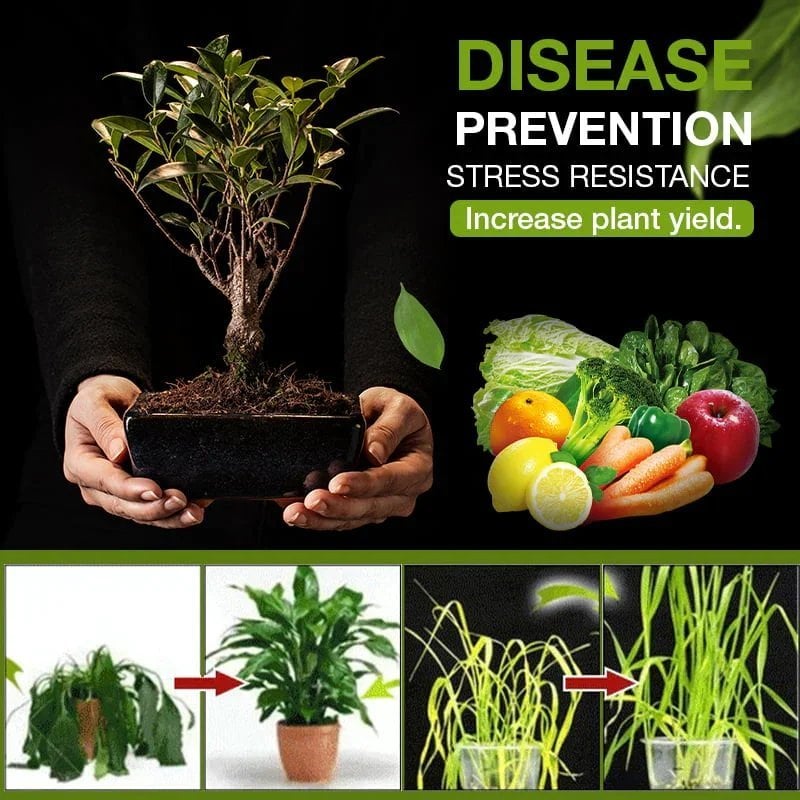 Hellohobot - The treasure of soil revitalisation