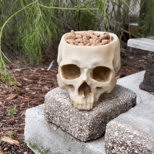 šHalloween Pre-saleš„Human Skull Bowl