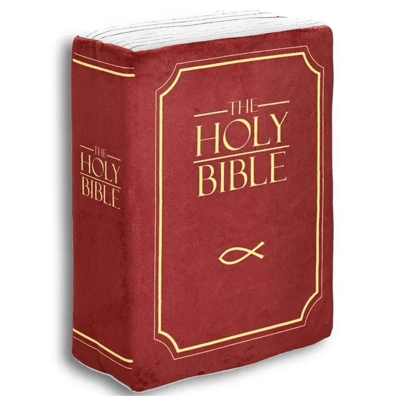 Last Day 75% OFF✨ | ✝️BIBLE PILLOW--BUY 2 FREE SHIPPING