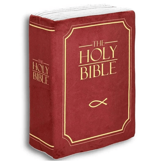 🔥Last day 75% OFF✨ | ✝️Bible pillow