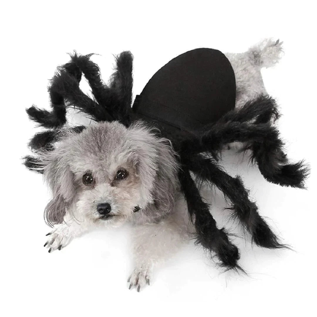 🔥Hot sale🔥Halloween Pets Spider Costume!