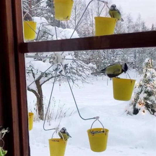🐦🎉LAST DAY 55% OFF🔥Ferris Wheel Bird Feeder