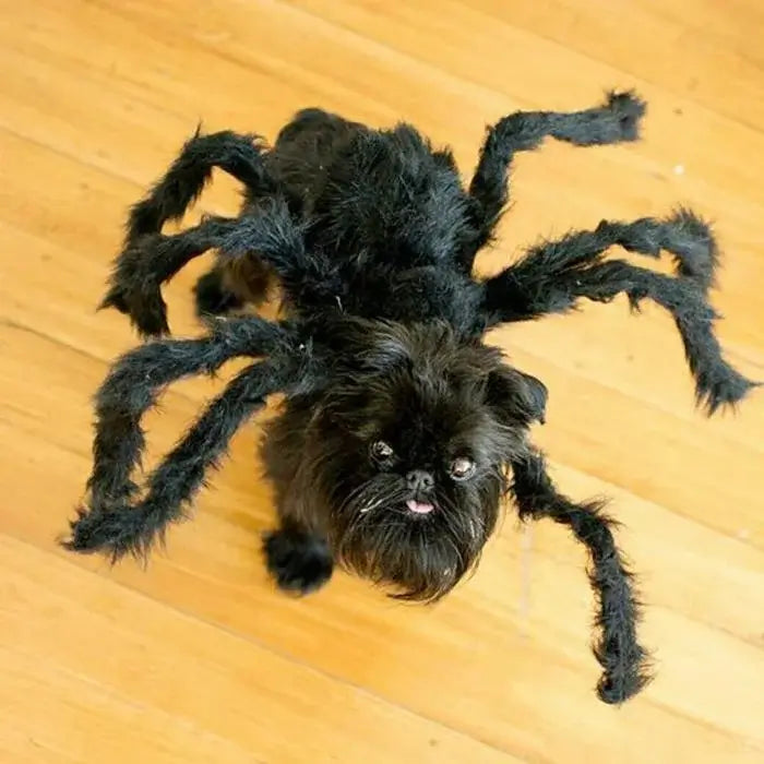 🔥Hot sale🔥Halloween Pets Spider Costume!