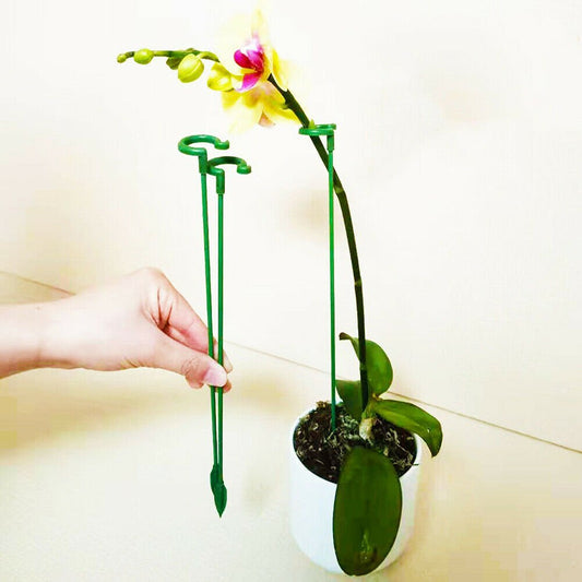 🔥Last Day Promotion 50% OFF-Plant Support Stake
